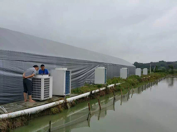 魚(yú)池加溫養(yǎng)殖